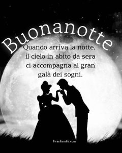 Quando arriva la notte, il cielo in abito da sera ci accompagna al gran galà dei sogni. Buonanotte.