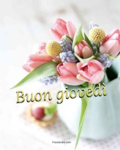 Buon giovedì.