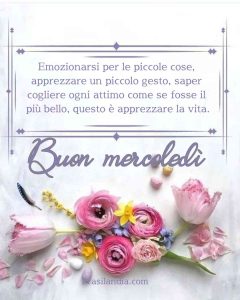 Emozionarsi per le piccole cose, apprezzare un piccolo gesto, saper cogliere ogni attimo come se fosse il più bello, questo è apprezzare la vita. Buon mercoledì.