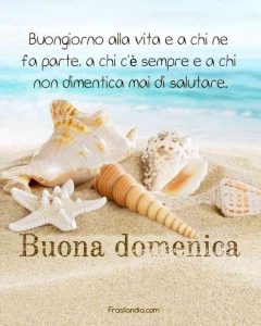 Buongiorno alla vita e a chi ne fa parte, a chi c'è sempre e a chi non dimentica mai di salutare. Buona domenica.