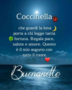 Coccinella che guardi la luna porta a chi legge tanta fortuna. Regala pace, salute e amore. Questo è il mio augurio con tutto il cuore. Buonanotte.