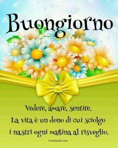 Buongiorno. Vedere, amare, sentire. La vita è un dono di cui sciolgo i nastri ogni mattina al risveglio.