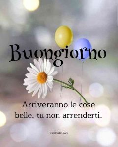 Arriveranno le cose belle, tu non arrenderti. Buongiorno.