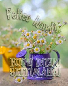 Felice lunedì. Buon inizio settimana.