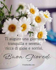 Ti auguro una giornata tranquilla e serena; ricca di gioie e sorrisi. Buon giovedì.