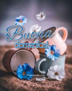 Buona domenica.