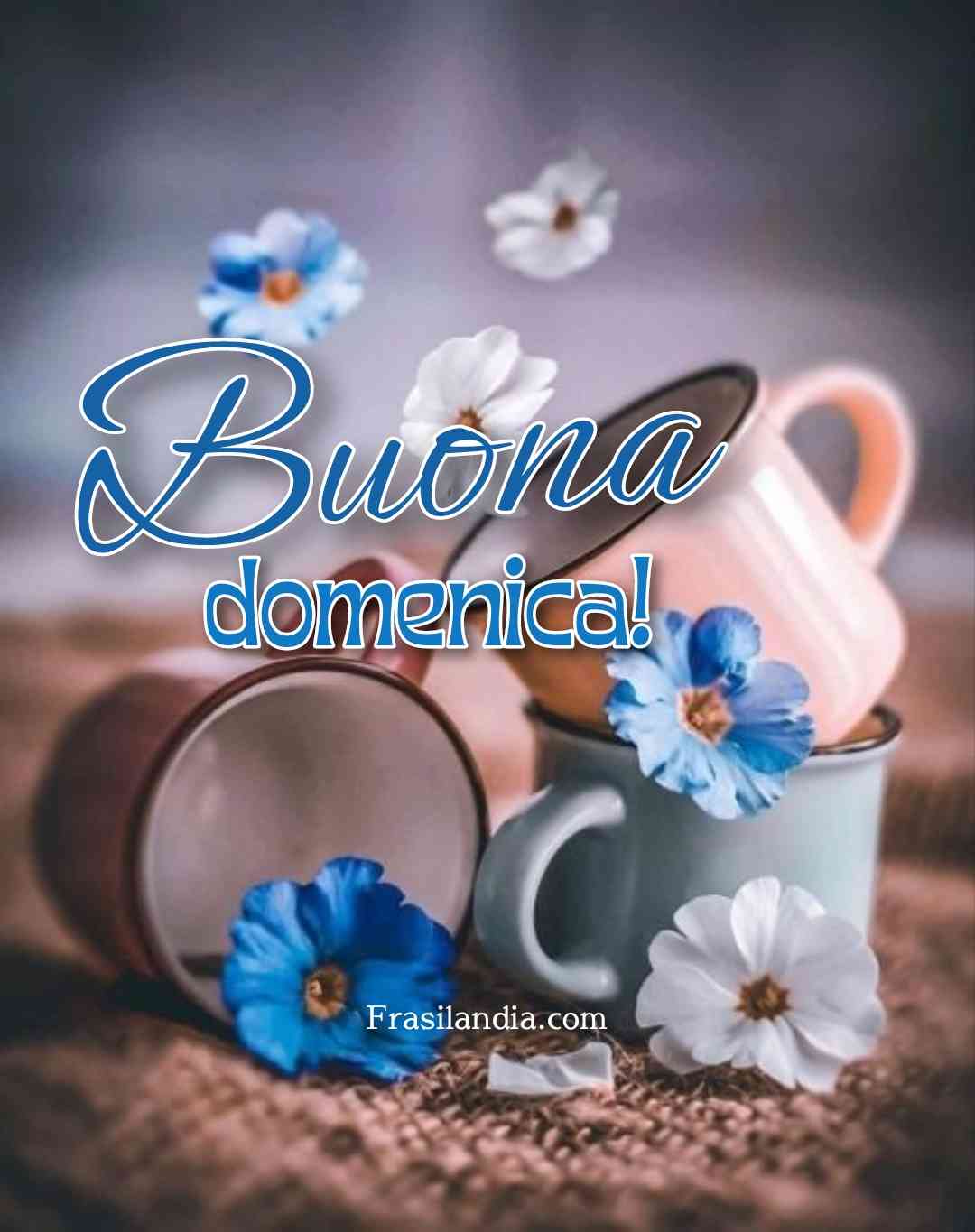 Buona Domenica Frasilandia
