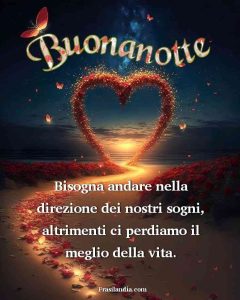 Bisogna andare nella direzione dei nostri sogni, altrimenti ci perdiamo il meglio della vita. Buonanotte.