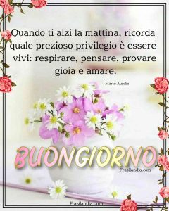 Quando ti alzi il mattino, pensa quale prezioso privilegio è essere vivi: respirare, pensare, provare gioia e amare. Buongiorno.