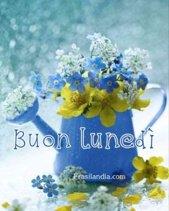 Buon lunedì.