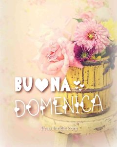 Buona domenica.