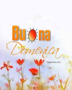 Buona domenica.