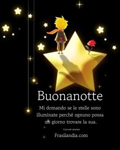 Mi domando se le stelle sono illuminate perché ognuno possa un giorno trovare la sua. Buonanotte.