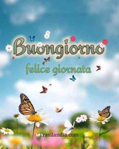 Buongiorno, felice giornata.