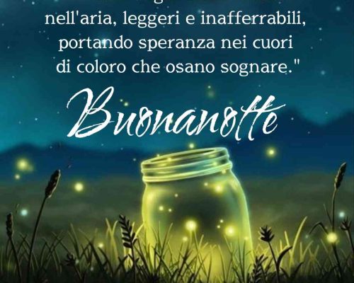 "Volano sogni come lucciole nell'aria, leggeri e inafferrabili, portando speranza nei cuori di coloro che osano sognare." Buonanotte.