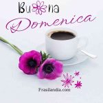 Buona domenica.