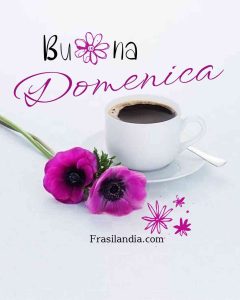 Buona domenica.