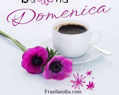 Buona domenica.