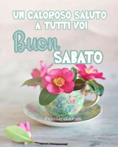 Un caloroso saluto a tutti voi. Buon sabato.