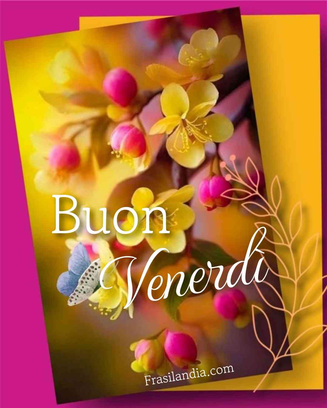 Buon Venerd 