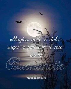 Magica notte e dolci sogni a tutti con il mio cuore. Buonanotte.