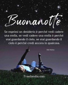 Se esprimi un desiderio è perché vedi cadere una stella, se vedi cadere una stella è perché stai guardando il cielo, se stai guardando il cielo è perché credi ancora in qualcosa. Buonanotte.