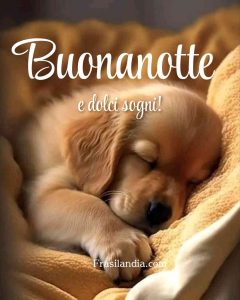 Buonanotte e dolci sogni a tutti voi.