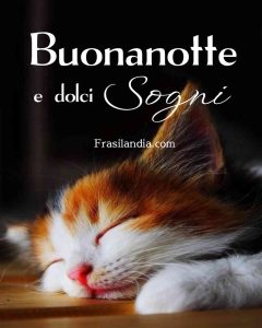 Buonanotte e dolci sogni.