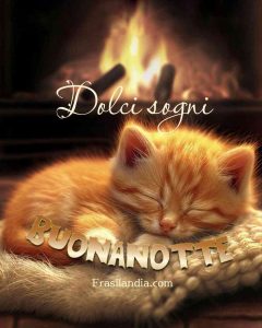 Dolci sogni. Buonanotte.