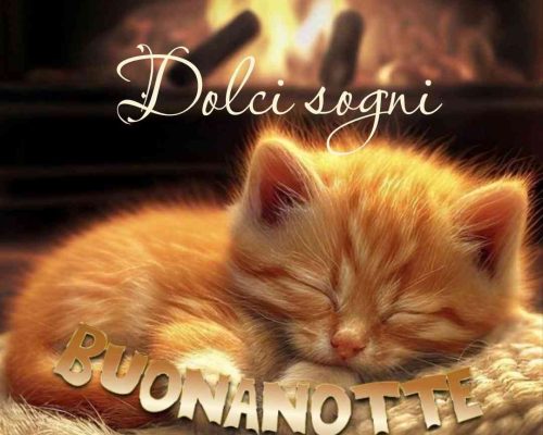 Dolci sogni. Buonanotte.