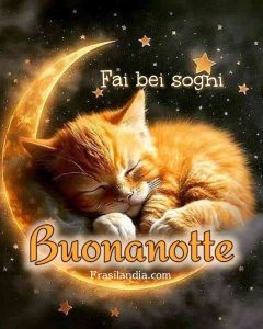 Fai bei sogni. Buonanotte.