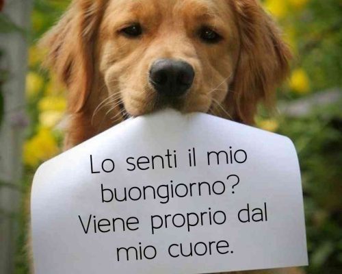 buongiorno