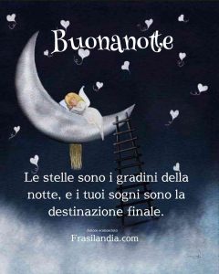 Le stelle sono i gradini della notte, e i tuoi sogni sono la destinazione finale. Buonanotte.