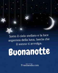 Sotto il cielo stellato e la luce argentea della luna, lascia che il sonno ti avvolga. Buonanotte.