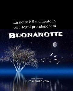 La notte è il momento in cui i sogni prendono vita. Buonanotte.