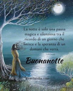 La notte è solo una pausa magica e silenziosa tra il ricordo di un giorno che finisce e la speranza di un domani che verrà. Buonanotte.