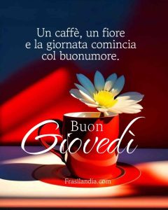 Un caffè, un fiore e la giornata comincia col buonumore. Buon giovedì.