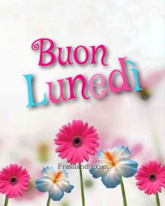 Buon lunedì.