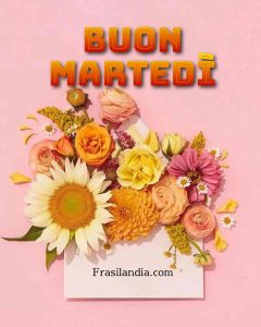 Buon martedì.