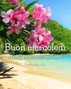 Buon mercoledì a tutti, nessuno escluso.