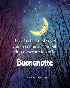 Lascia che i tuoi sogni volino sempre più in alto fino a toccare le stelle. Buonanotte.