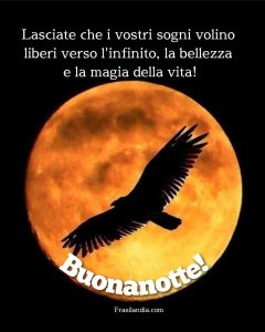 Lasciate che i vostri sogni volino liberi verso l'infinito, la bellezza e la magia della vita! Buonanotte.