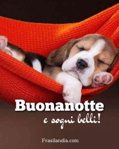 Buonanotte e sogni belli!