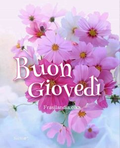 Buon giovedì.