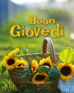 Buon giovedì.