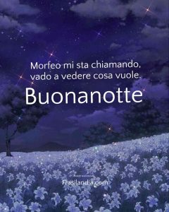 Morfeo mi sta chiamando, vado a vedere cosa vuole. Buonanotte.