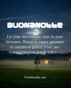 Le cose succedono. Non le puoi fermare. Bisogna saper passare in mezzo ai giorni tristi per raggiungere quelli felici. Buonanotte.