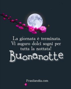 La giornata è terminata. Vi auguro dolci sogni per tutta la nottata. Buonanotte.