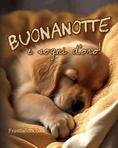 Buonanotte e sogni d'oro.