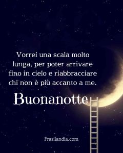 Vorrei una scala molto lunga, per poter arrivare fino in cielo e riabbracciare chi non è più accanto a me. Buonanotte.